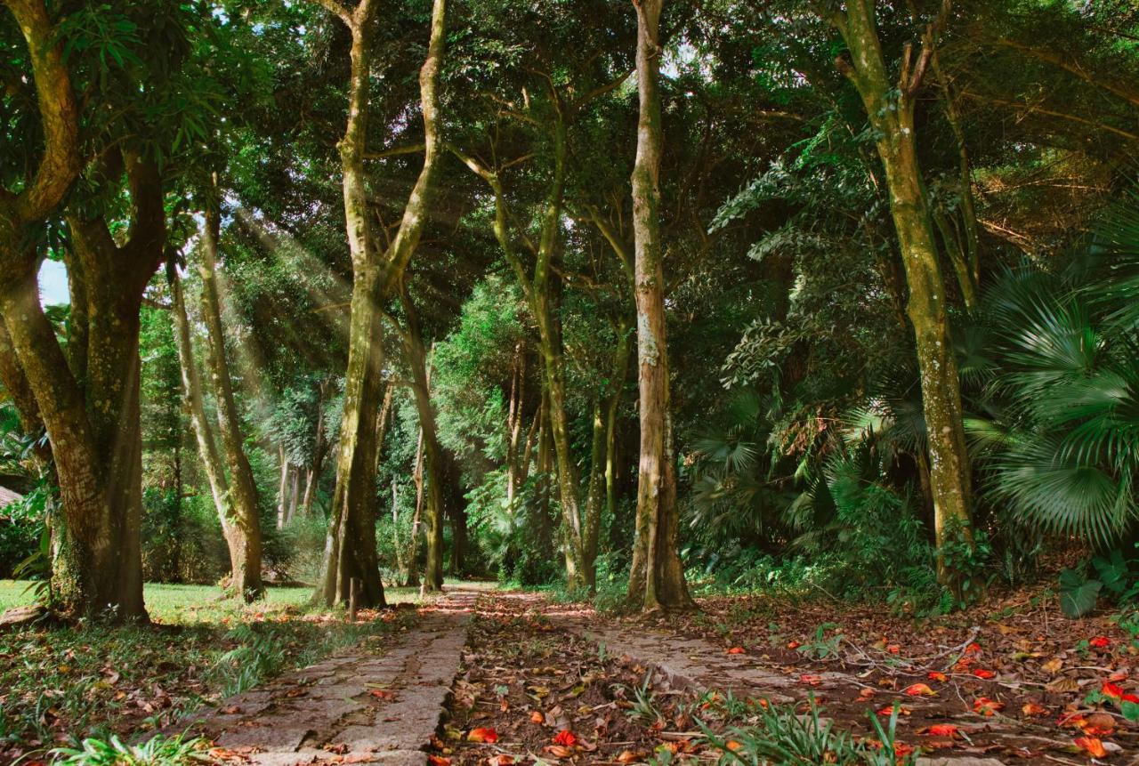 Vila Siriuba Hotel Ilhabela Zewnętrze zdjęcie